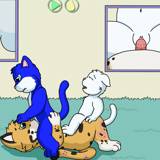 子猫の遊び時間 Kitten Playtime
