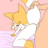 きつねループ Fox loop