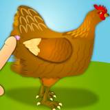 鶏フラッシュ！ Chicken FLASH!