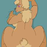 クマの尻 Bear-buns