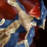 食べられるドラゴン2 dragon eat 2