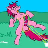 ポニーのタルガ Targa the Pony